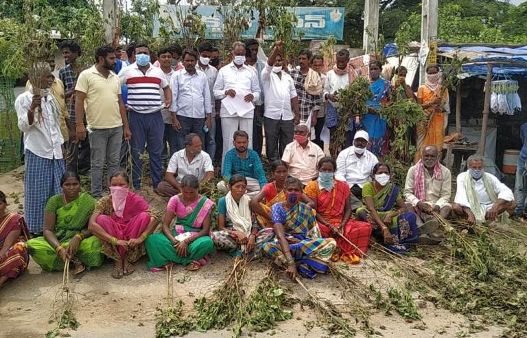 Grow-Trees.com pledges to plant 3 million trees to combat deforestation